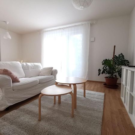 Gemuetliches Privatzimmer In Geraeumiger Gemeinschaftswohnung Δρέσδη Εξωτερικό φωτογραφία