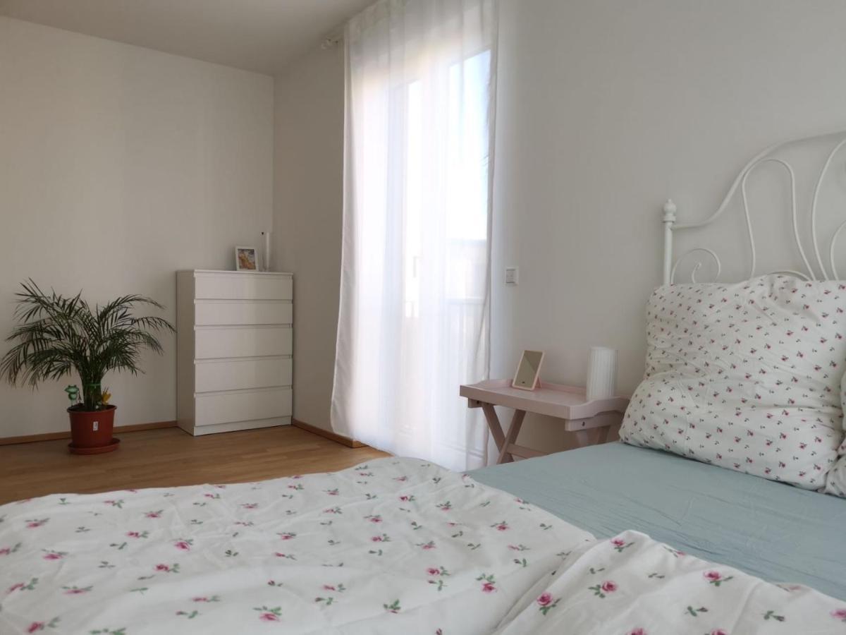 Gemuetliches Privatzimmer In Geraeumiger Gemeinschaftswohnung Δρέσδη Εξωτερικό φωτογραφία